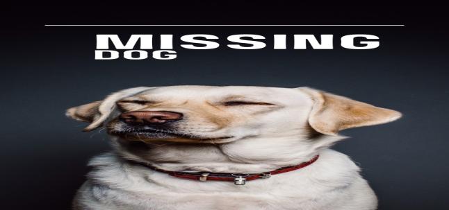 बरैली के जज साहब का पालतू कुत्ता हुआ चोरी