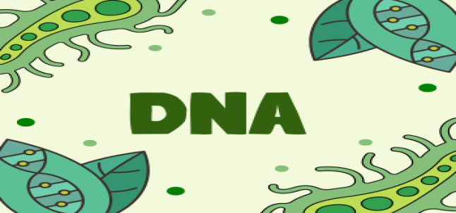 जैविक पिता होने से शख्स ने किया इनकार तो हाईकोर्ट ने दिया आदेश- बच्चों को गुजारा भत्ता दे या डीएनए टेस्ट कराए पिता - Allahabad High Court Order